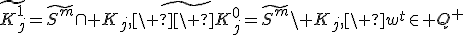 $$\widetilde{K^1_j}=\widetilde{S^m}\cap K_j,\widetilde{{\ \ K}^0_j}=\widetilde{S^m}\backslash K_j,\ w^t\in Q^+\$$