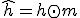\hat{h} = h \odot m