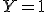 Y = 1