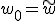 w_0 = \tilde{w}